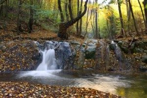 Waterfal and trees