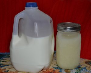 Carton of milk and jar of frozen milk