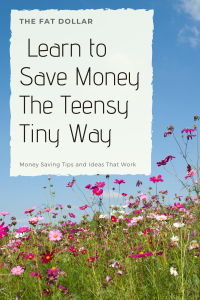 Learn to Save Money the Teensy Tiny Way 